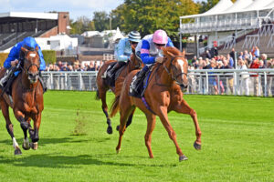 250924 0107 Bay Of Brilliance