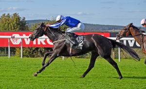 250924 0314 Timeforshowcasing