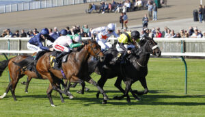 78F0020 Arabian Leopard