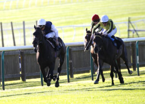 78F0081 Miss Alpilles