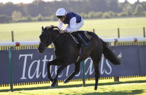 78F0103 Miss Alpilles