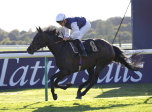 78F0111 Miss Alpilles