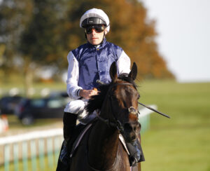 78F0119 Miss Alpilles