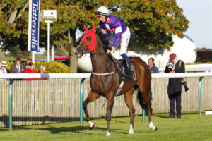 78F0211 Sunny Corner