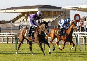 78F0231 Sunny Corner