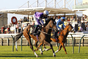 78F0234 Sunny Corner