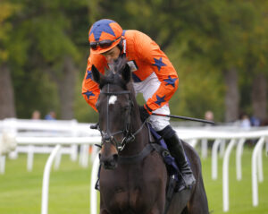 78F0293 Coco Mademoiselle