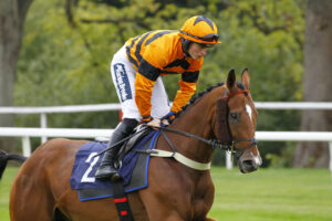 78F0521 Kingoftheswingerz