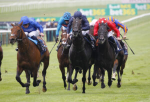 78F1175 Wise Aproach