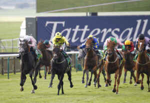 78F1291 Boiling Point