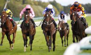 78F9120 Blue To Blue