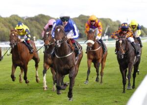 78F9133 Blue To Blue