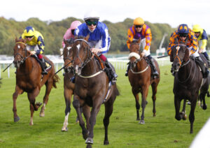 78F9134 Blue To Blue