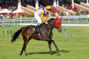 78F9173 King Of The Sea