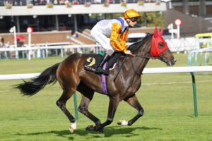 78F9177 King Of The Sea