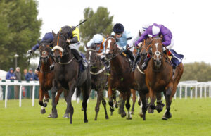 78F9396 Mademoiselle