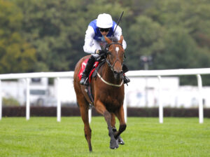 78F9782 Atherstone Warrior