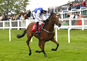 78F9791 Atherstone Warrior