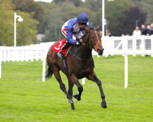 78F9864 Concert Party