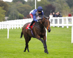 78F9865 Concert Party