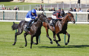 78F9919 Maltese Cross