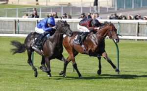 78F9920 Maltese Cross