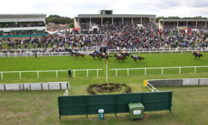 BK1A4676 Noble Guest