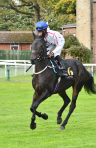 DSC 0014 Cotswold Cottage