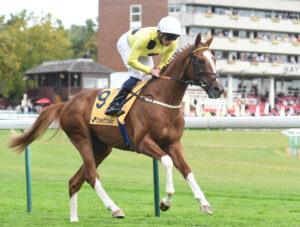 DSC 0015 Zeus Olympios