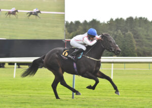 DSC 0028 Cotswold Cottage