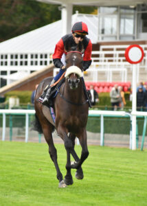 DSC 0036 Gentle George