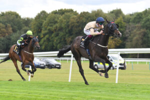 DSC 0038 Gentle Warrior