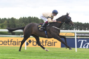 DSC 0042 Gentle Warrior