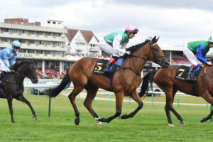 DSC 0055 Legacy Link