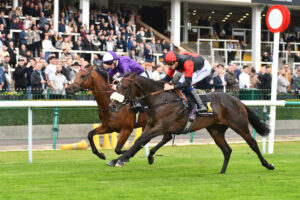 DSC 0063 Gentle George