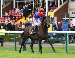 DSC 0066 Kolkata Knight