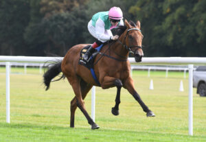 DSC 0073 Legacy Link