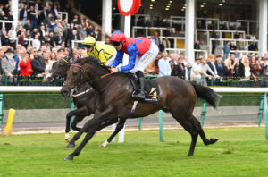 DSC 0095 Kolkata Knight