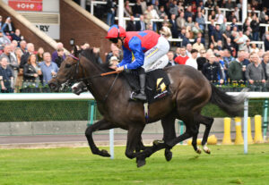 DSC 0097 Kolkata Knight