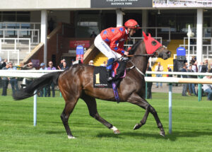 DSC 0122 Corolla Point