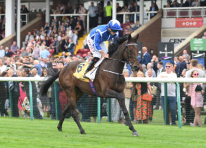 DSC 0147 The Reverend