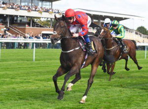 DSC 0150 Corolla Point