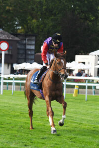 DSC 0160 Lightning Polka