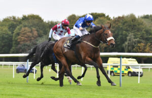 DSC 0168 Legal Reform