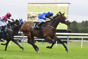 DSC 0174 Legal Reform