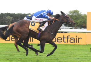 DSC 0188 The Reverend