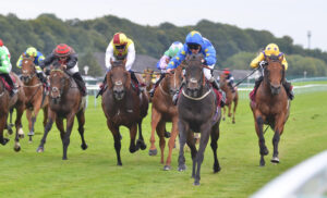 DSC 0189 Trilby
