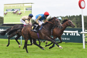 DSC 0230 Sing Us A Song