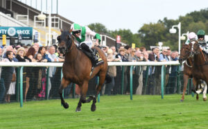 DSC 0279 Democracy Dilemma