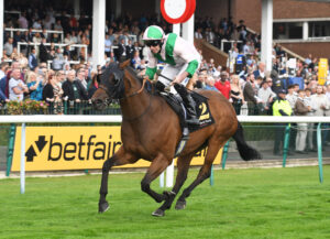 DSC 0290 Democracy Dilemma